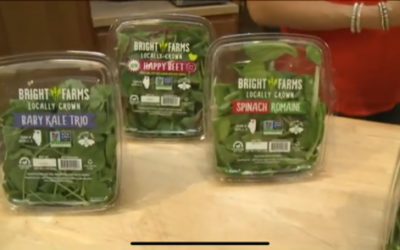 Creating a Satiating Summer Salad-Fox 2